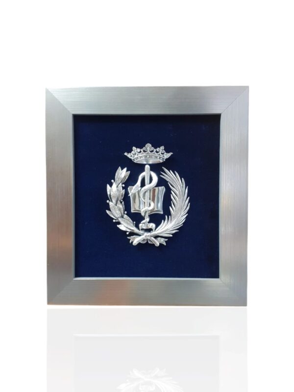 Escudo de Medicina.  Plateado.