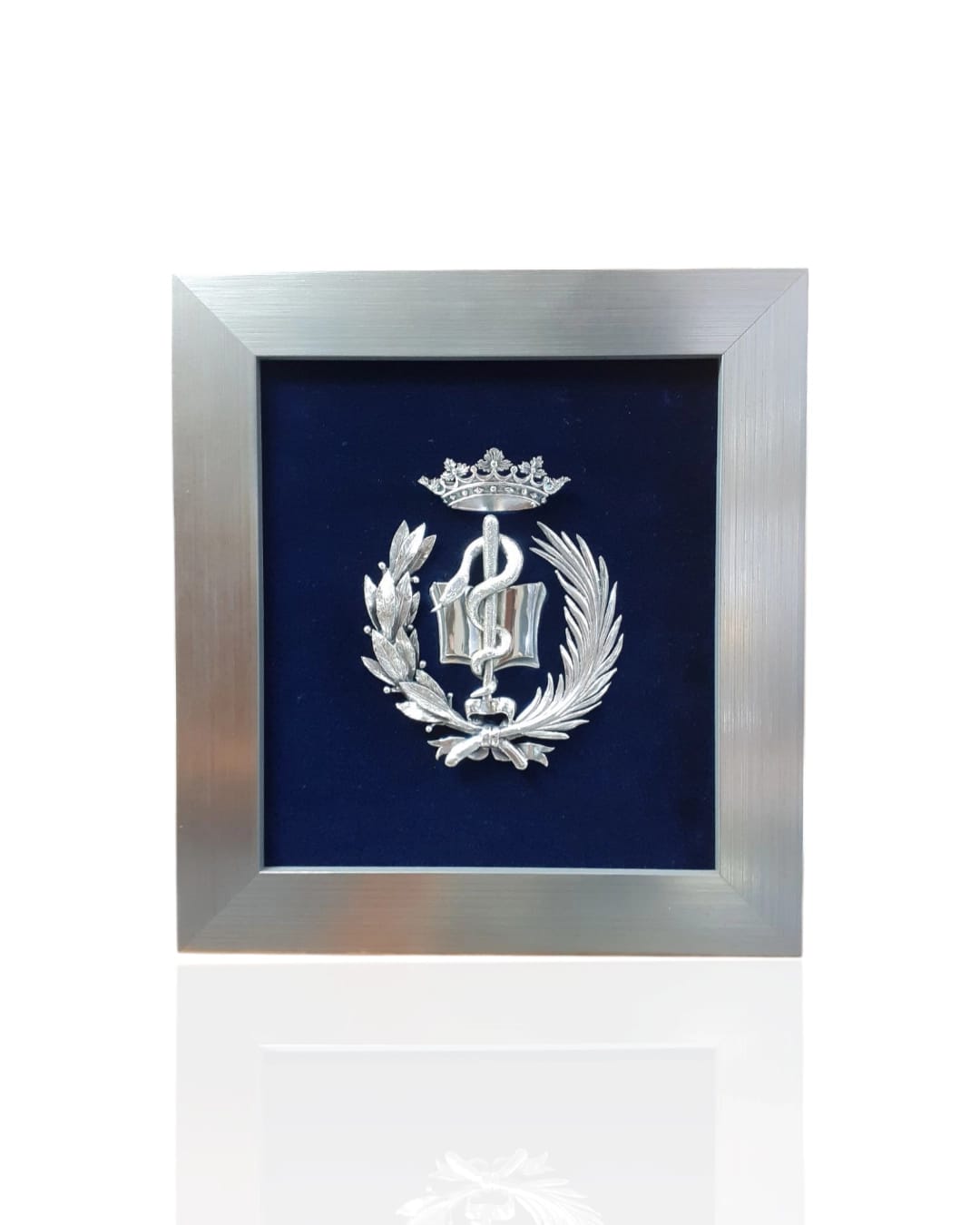 Escudo de Medicina. Plateado.